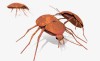 Textured Bugs