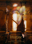 Go to the 'Imagine' website